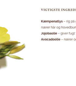 evening-primrose