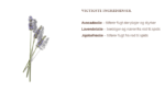 lavender-avocado-cond