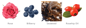 bilberry