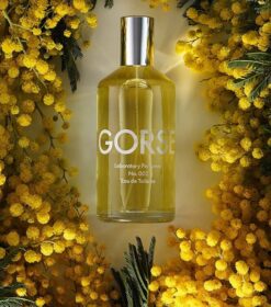 en flaske parfume omgivet af gule blomster.