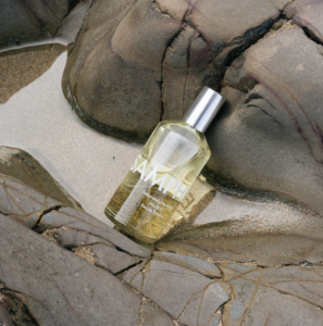 En flaske Laboratory Parfums Atlas Eau de Toilette 100 ml. (unisex) siddende på en sten.