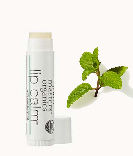 John Masters Organics Lip Calm peppermint 4 g