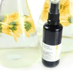 aloe-imortelle-mist