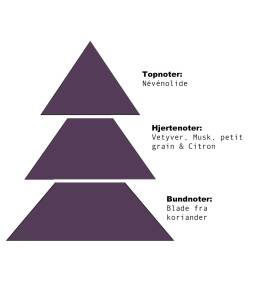 et diagram over de tre forskellige trætyper.