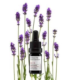 jol-odacite-serum-lavendel