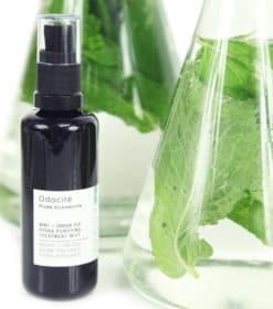 mint-groen-te-mist