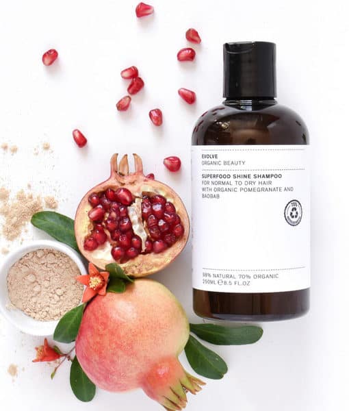 evolve-organic-beauty-superfood-shine-shampoo-normal-dry-hair