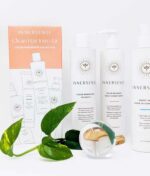 Innersense Clean Hair Intro Kit indeholder Color Awakening Hairbath, Innersense Color Radiance Daily Conditioner 295 ml og Sweet Spirit Leave-In Conditioner, der vises sammen med produktemballage og en grøn plante.