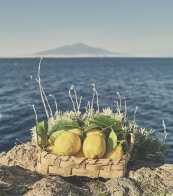 en kurv med frugt, der sidder på toppen af en sten ved siden af havet.
