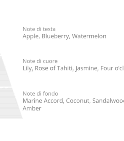 en pyramide med ordene Laboratorio Olfattivo Biancofiore Diff 3000ml, blåbær, liljekonval, liljekonval, liljekonval.