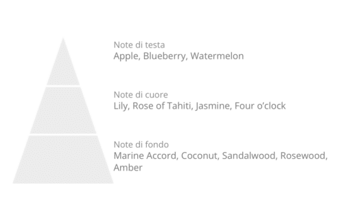 en pyramide med ordene Laboratorio Olfattivo Biancofiore Diff 3000ml, blåbær, liljekonval, liljekonval, liljekonval.