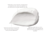 et diagram, der viser ingredienserne i Evolve Organic Beauty Climate Defense SPF30 Cream 40 ml.