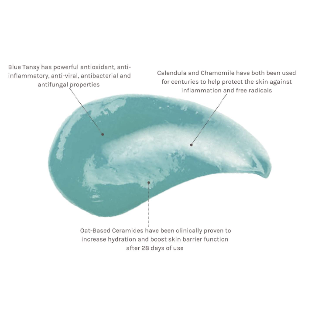 Et diagram, der viser ingredienserne i Evolve Organic Beauty - Blue Tansy Beauty Balm 60 ml.