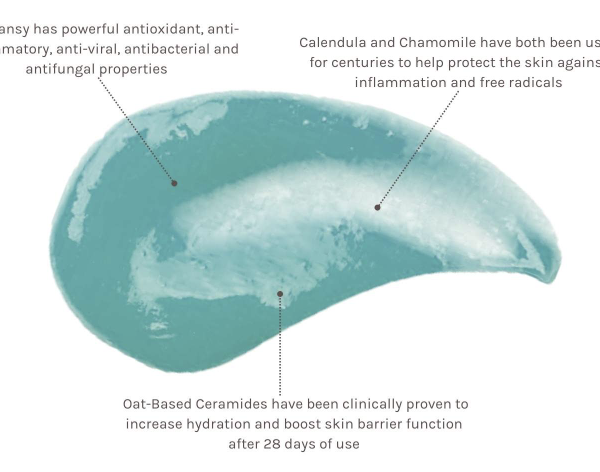 Et diagram, der viser ingredienserne i Evolve Organic Beauty - Blue Tansy Beauty Balm 60 ml.