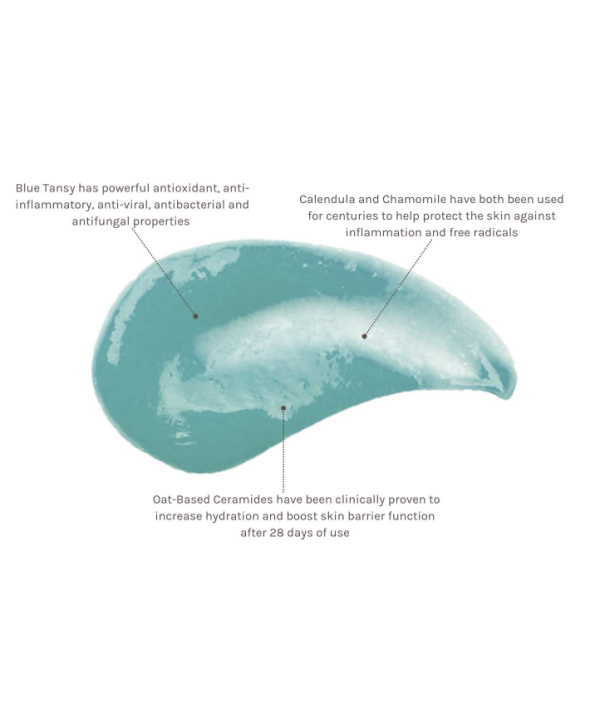 Et diagram, der viser ingredienserne i Evolve Organic Beauty - Blue Tansy Beauty Balm 60 ml.
